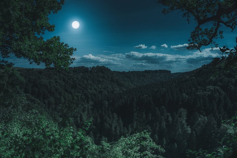 Europa Moon
